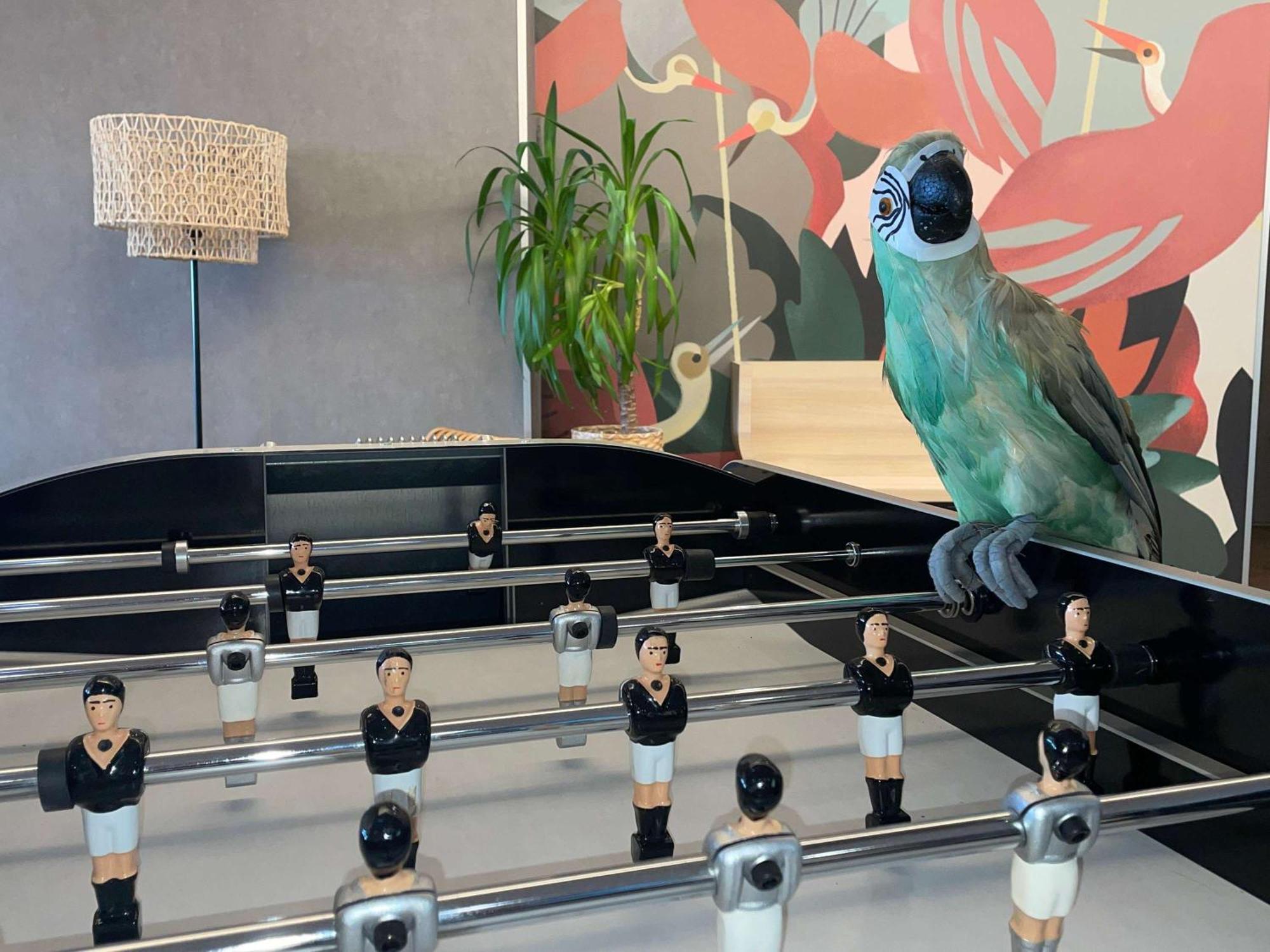 Ibis Styles Rennes Hotel 3*